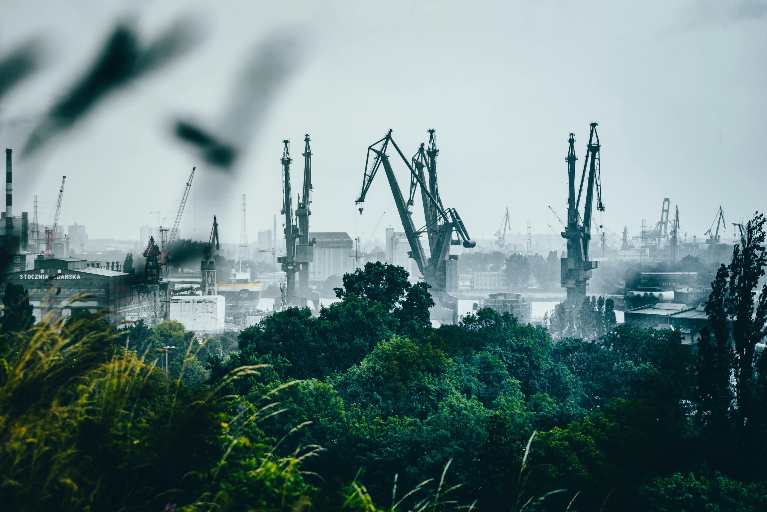 Biznes i finanse Informacje Gdańsk Port