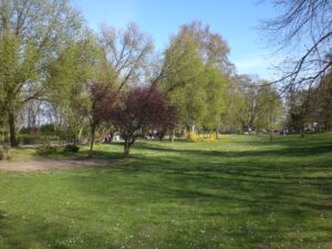 Park Jelitkowski w dzielnicy Zabianka-Wejhera-Jelitkowo-Tysiaclecia w Gdansku