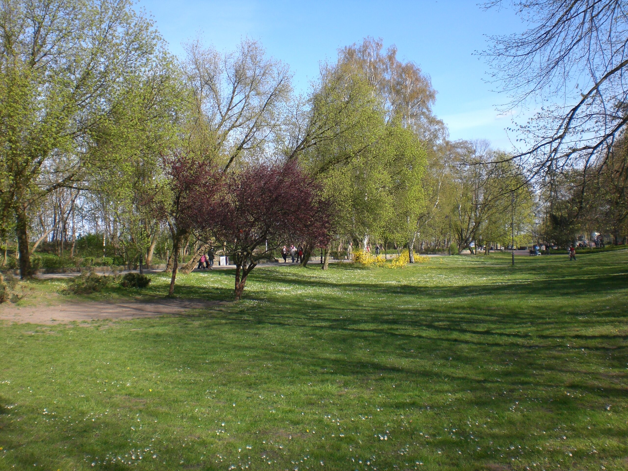 Park Jelitkowski w dzielnicy Zabianka-Wejhera-Jelitkowo-Tysiaclecia w Gdansku