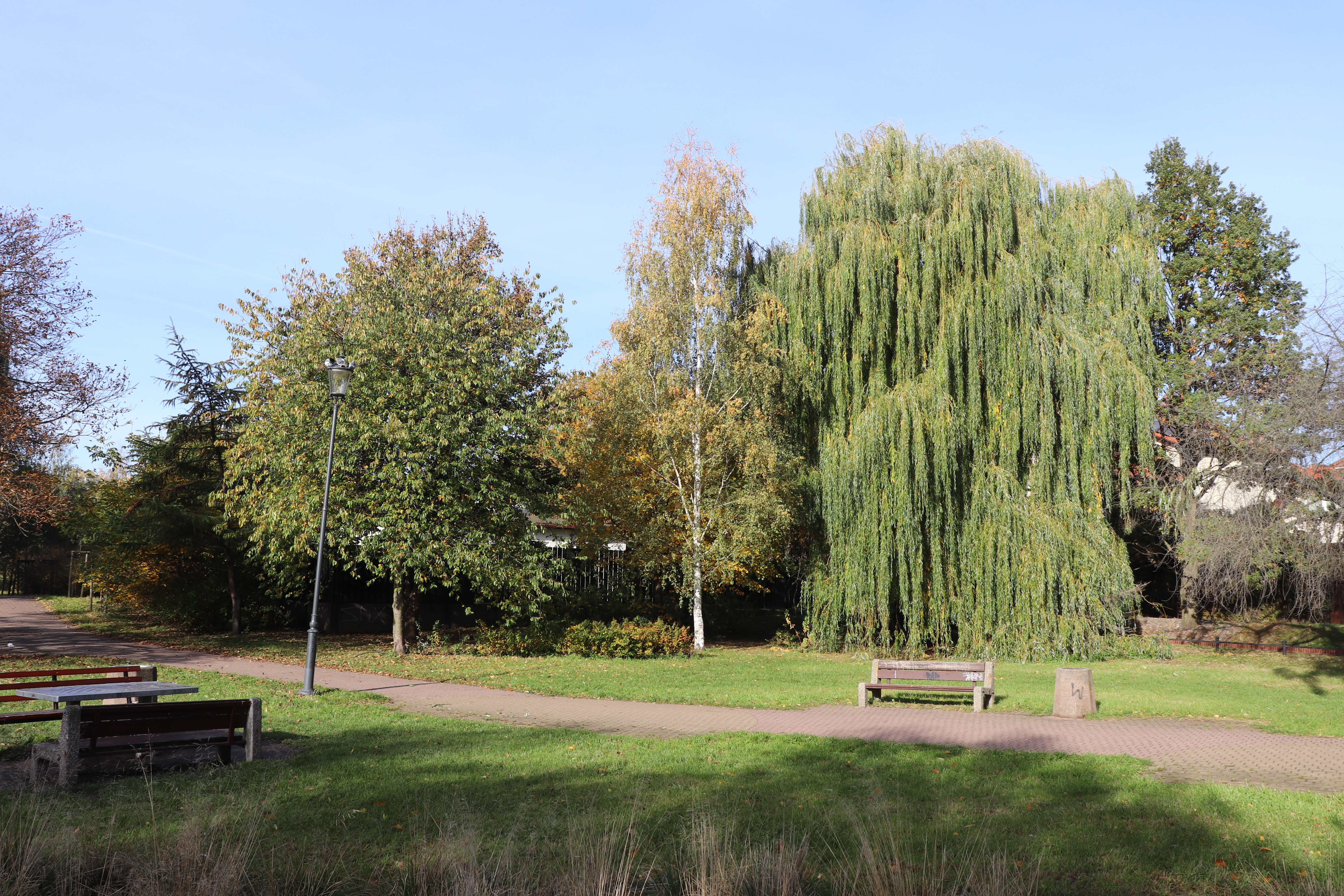 Park nad Strzyżą w Gdańsku