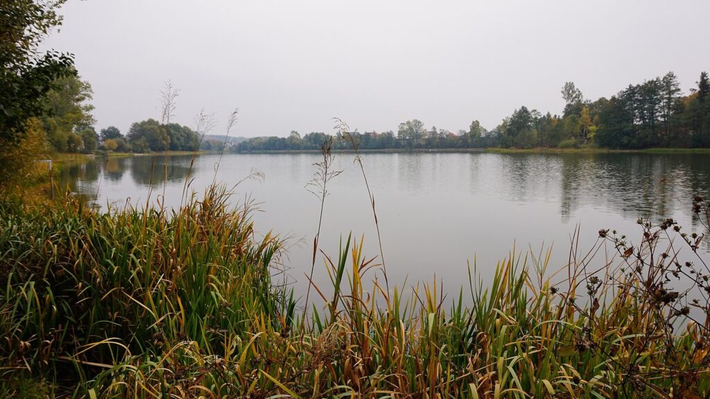 Jezioro Osowskie na granicy Gdańska-Osowej