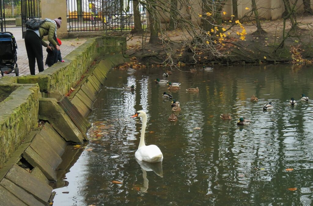 Park Oliwski w dzielnicy Oliwa w Gdańsku