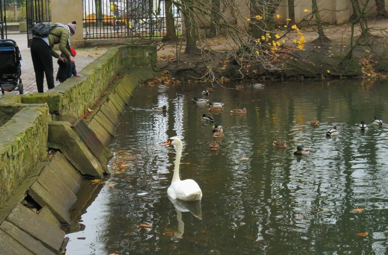Park Oliwski w dzielnicy Oliwa w Gdańsku